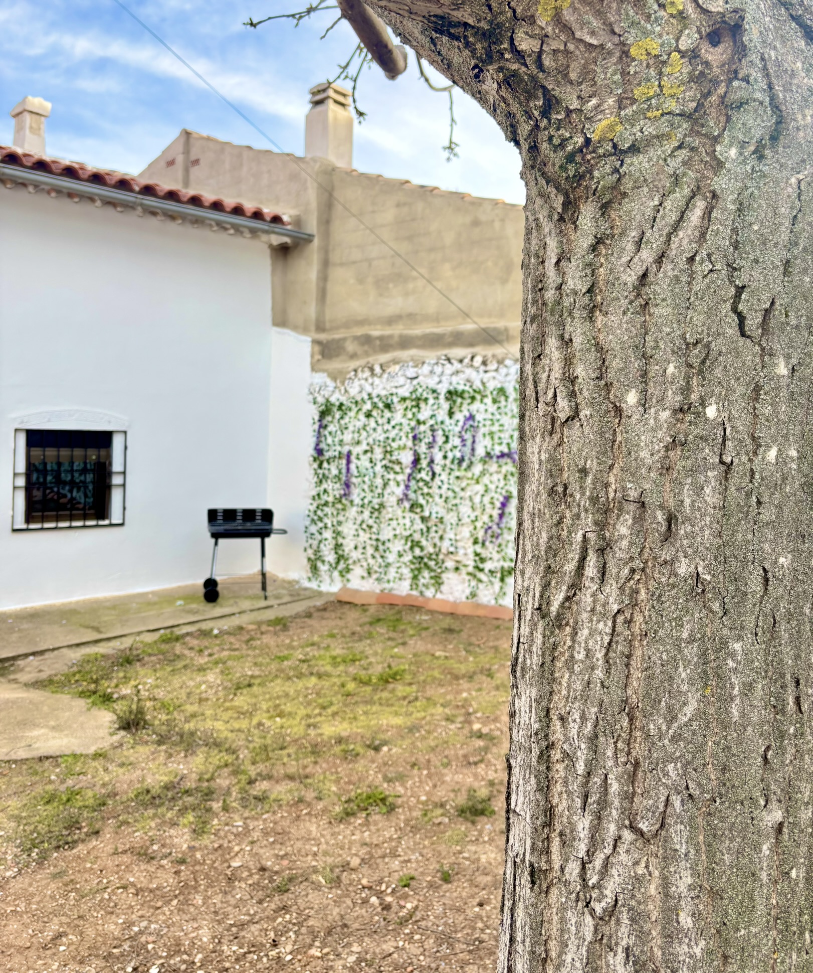 Patio privado SERAGAL 3