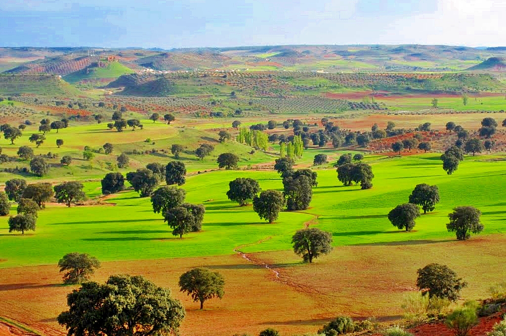 Campo de Montiel
