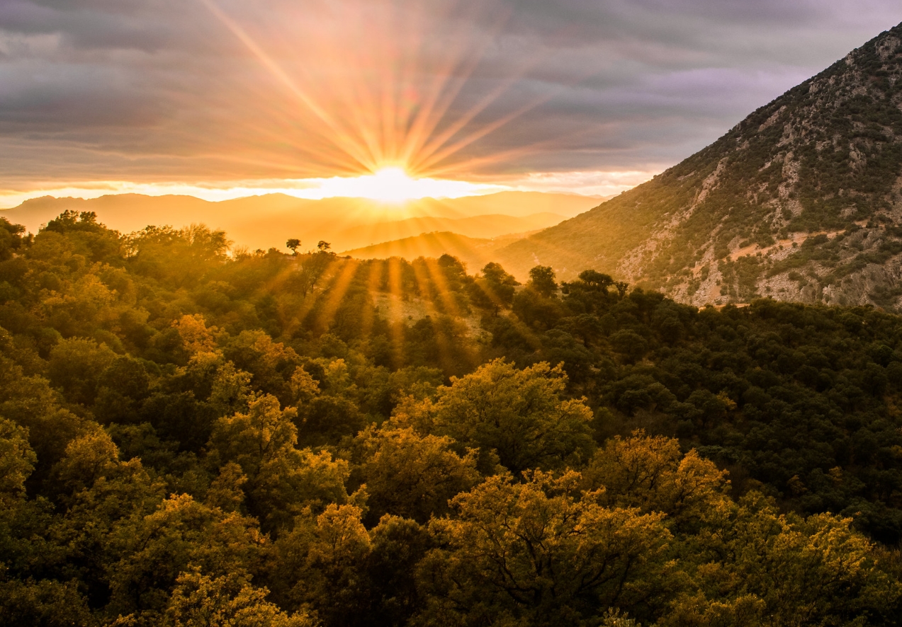 Paisaje del Campo de Montiel