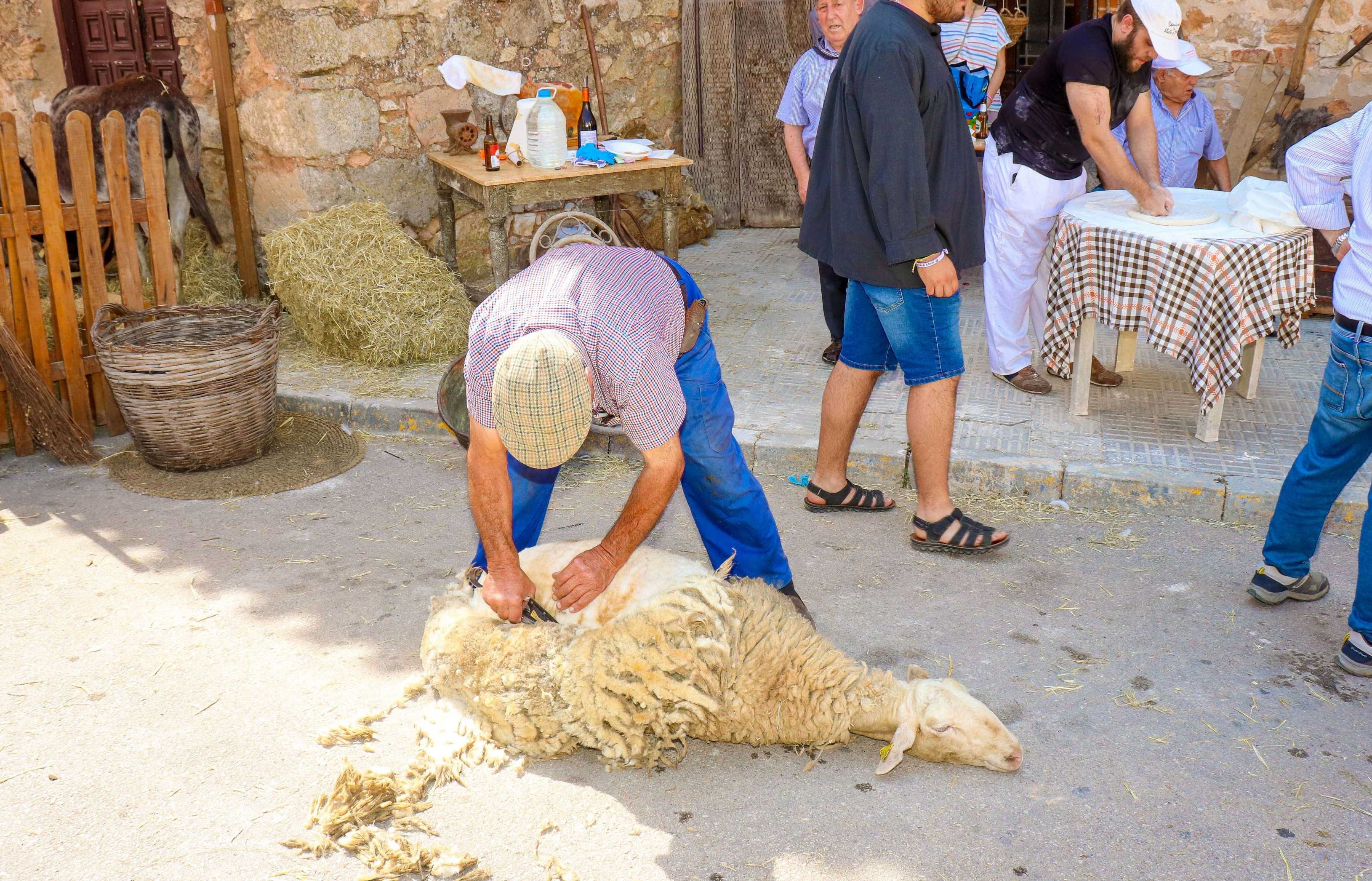 Feria de tradiciones